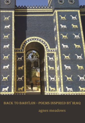 Back to Babylon: Poems Inspired by Iraq